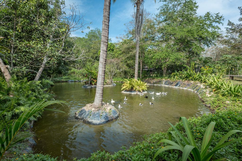 Villa Azalea Inn & Organic Farm JALISCO المظهر الخارجي الصورة