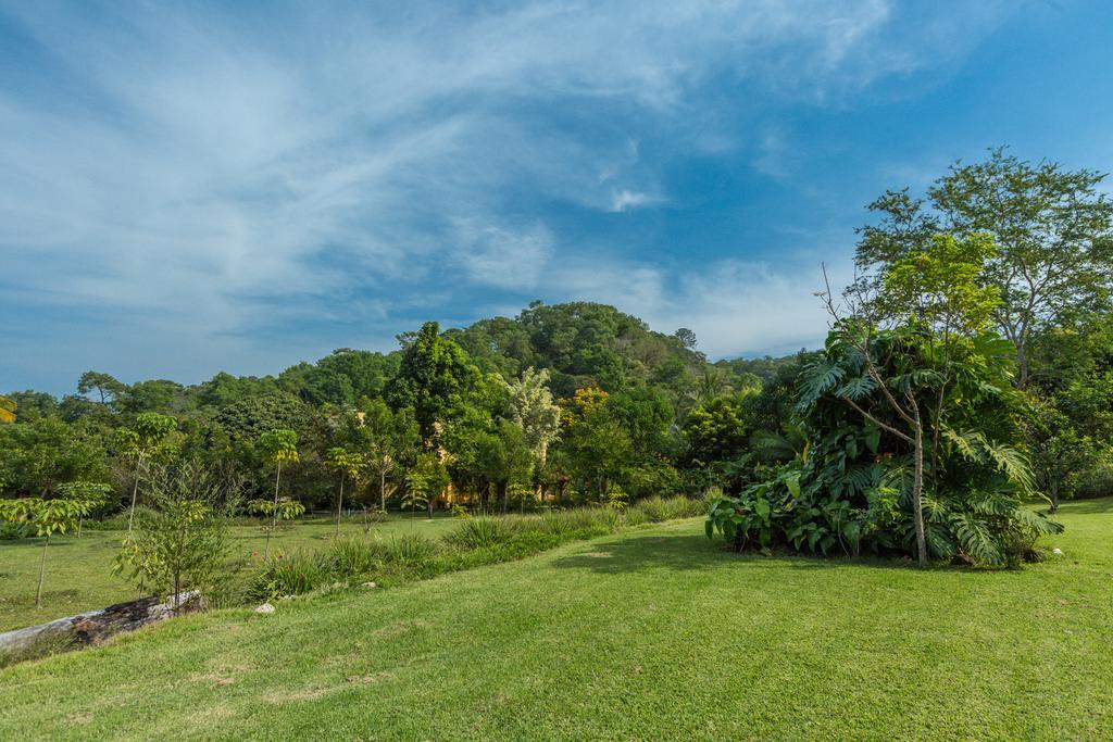 Villa Azalea Inn & Organic Farm JALISCO المظهر الخارجي الصورة