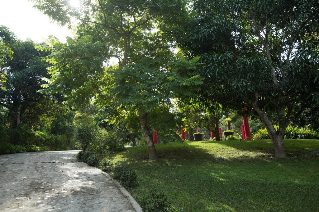 Villa Azalea Inn & Organic Farm JALISCO المظهر الخارجي الصورة