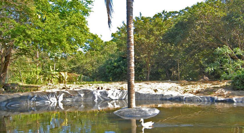 Villa Azalea Inn & Organic Farm JALISCO المظهر الخارجي الصورة